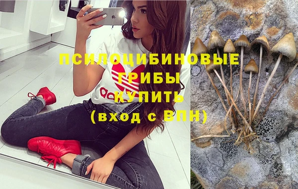 дживик Алексин