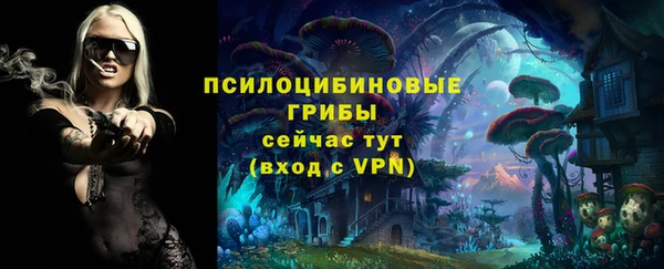 дживик Алексин
