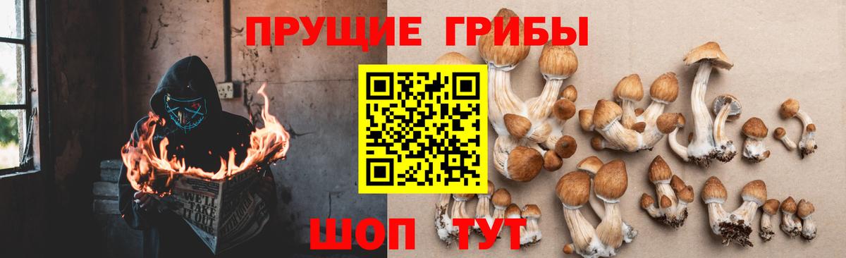 Березники  Псилоцибиновые грибы ЛСД  Псилоцибиновые грибы Psilocybe  Вход с VPN 